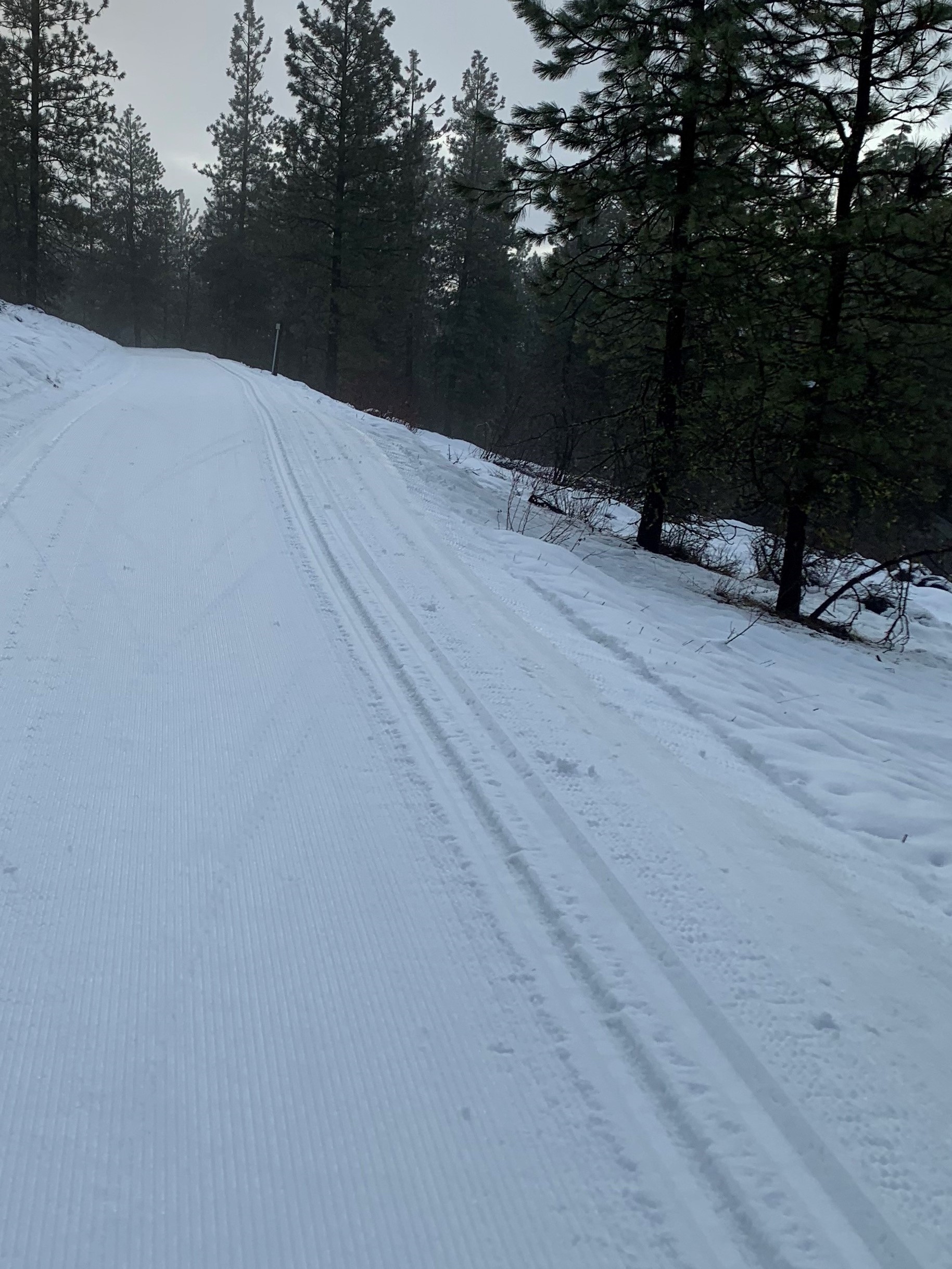 Ski Hill 3-1-22