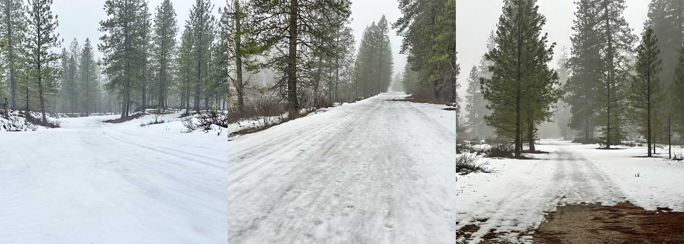 conditions jan 31