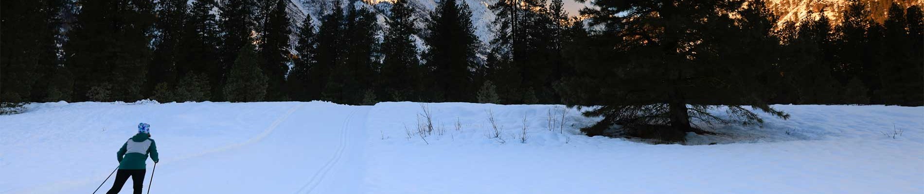 nordic skiing